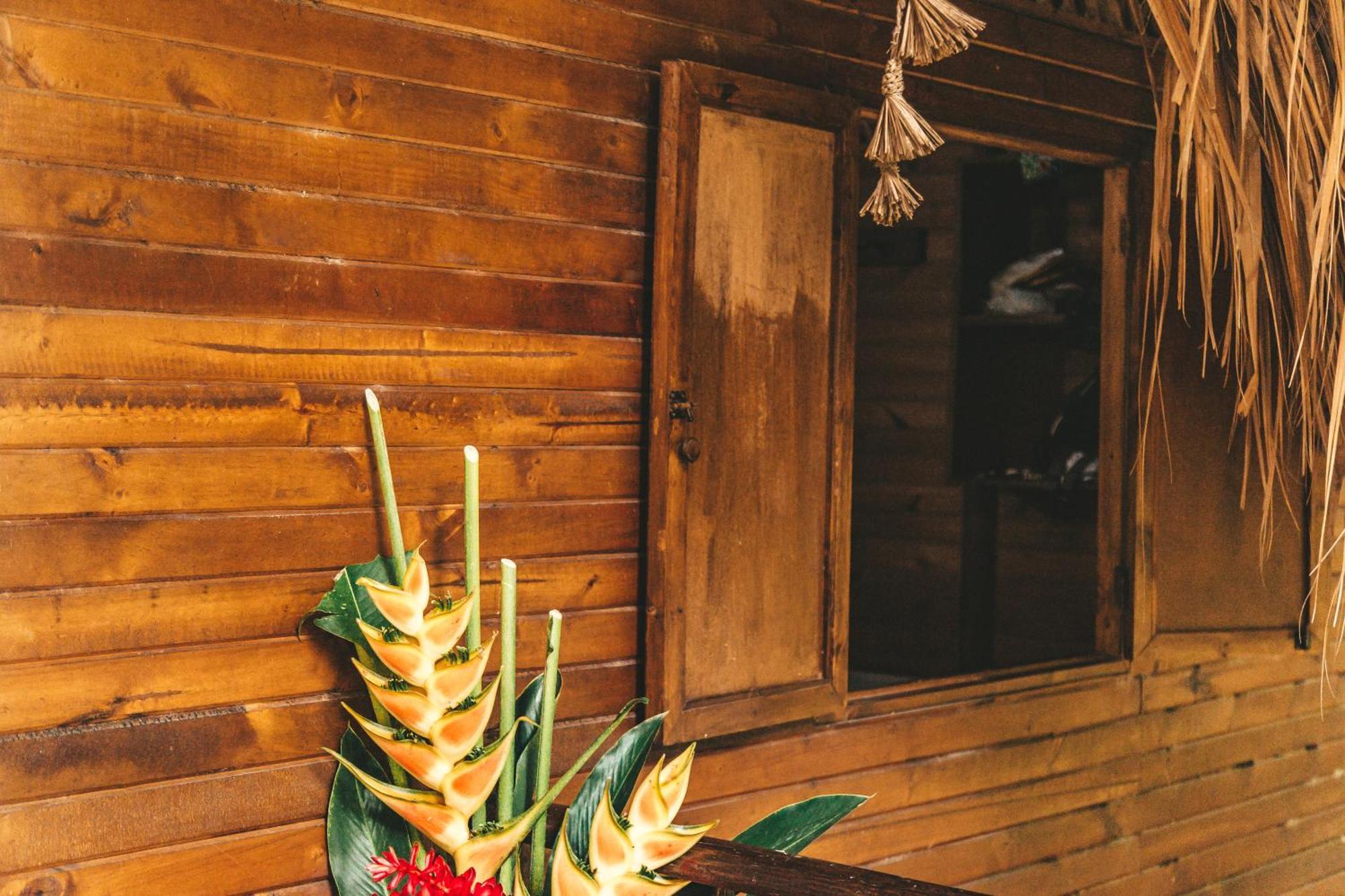 Cabana Wiwa Tayrona Лос-Наранхос Экстерьер фото