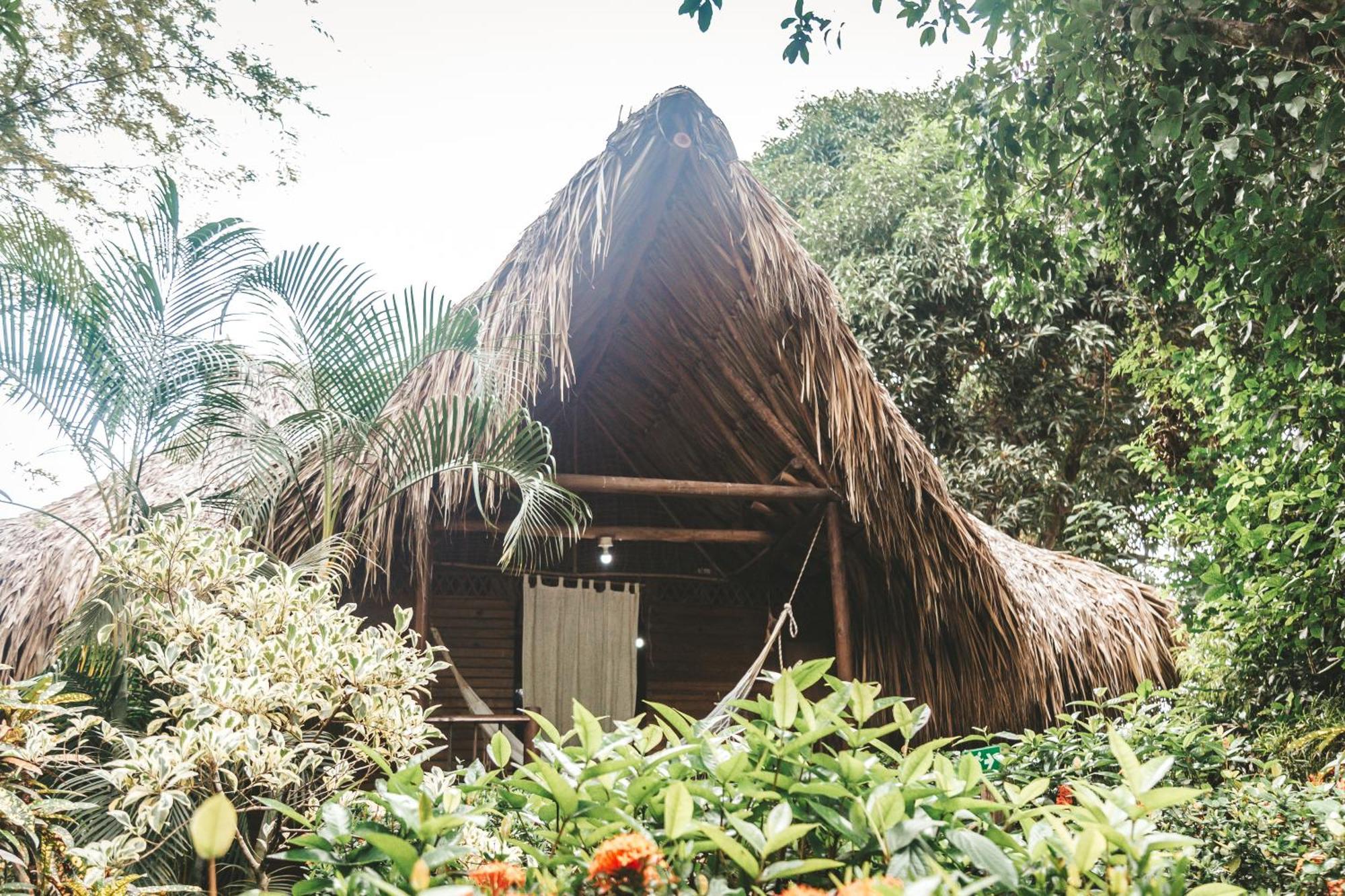 Cabana Wiwa Tayrona Лос-Наранхос Экстерьер фото